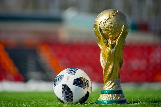 2022世界杯