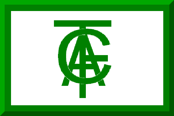亚洲冠军联赛