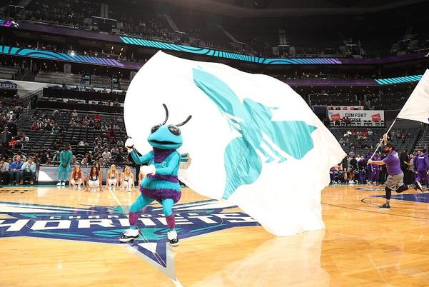 NBA黄蜂队吉祥物休格蜂