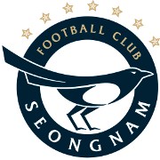 城南FC球队logo