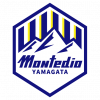 山形山神球队logo