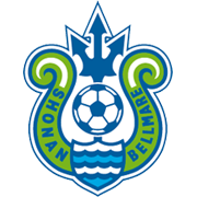 湘南丽海球队logo